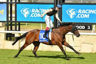 Southern-bred Etah James (NZ) dominated the A$1 million Group One Sydney Cup (3200m). 